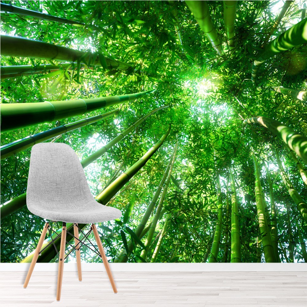 Ceiling Wall Paper Forest - HD Wallpaper 