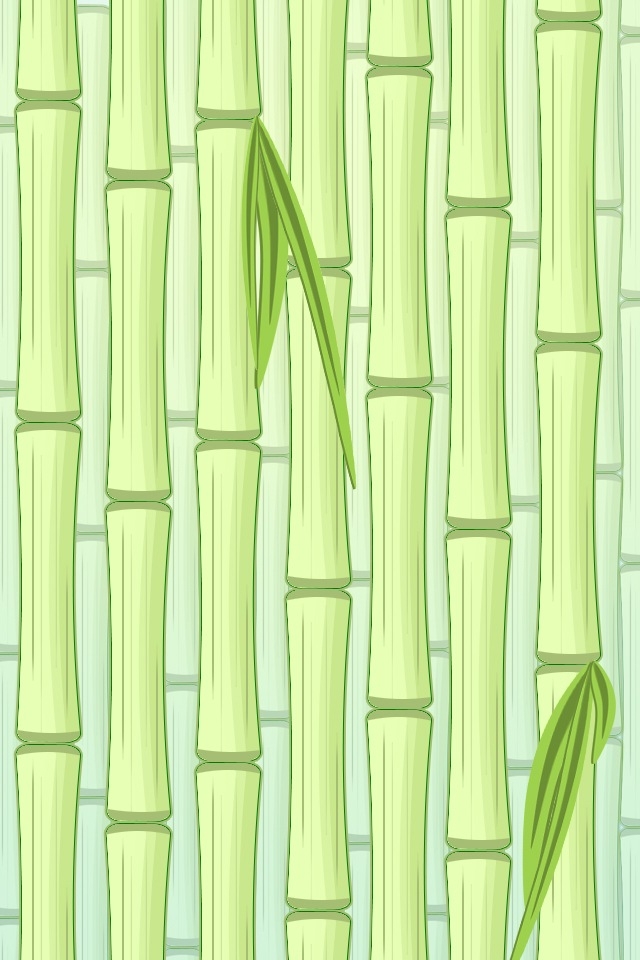 Net On The Desktop, H 346391412 - Light Green Bamboo - HD Wallpaper 