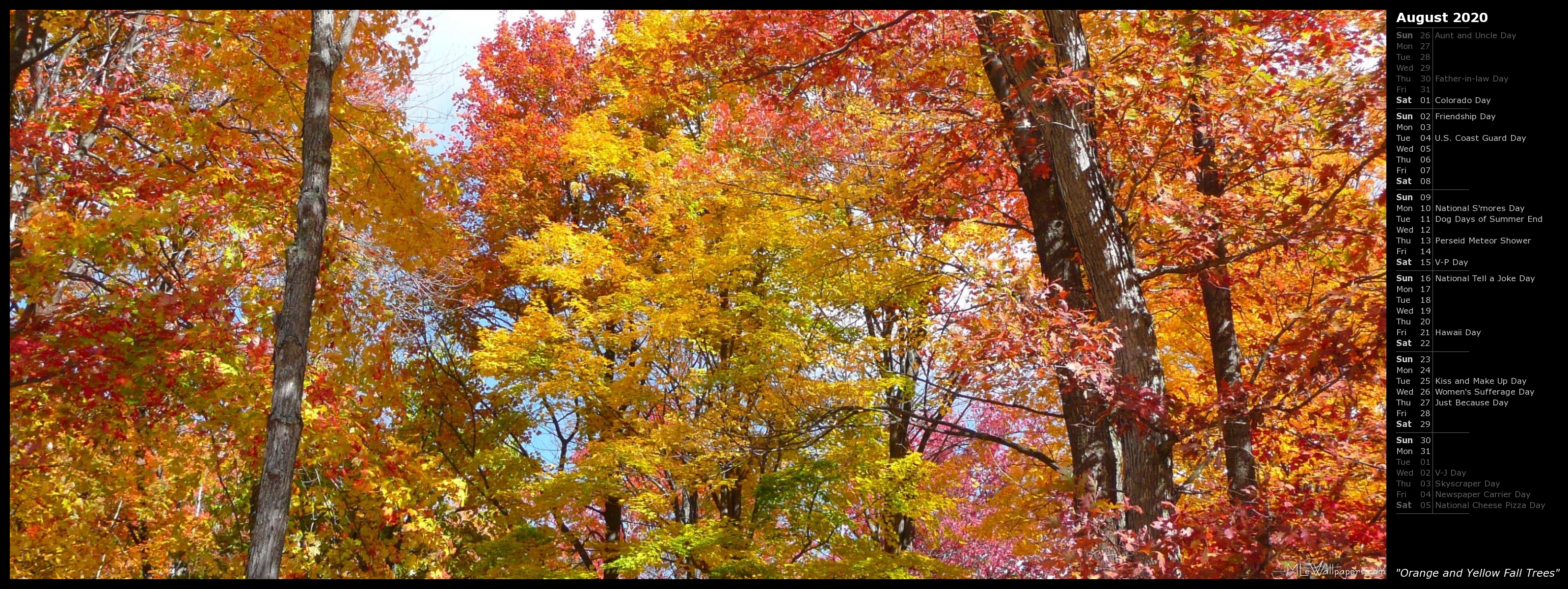 Orange And Yellow Fall Trees - Autumn - HD Wallpaper 