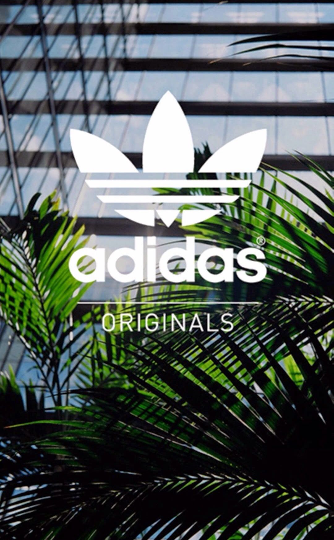 Adidas Background Tropical - HD Wallpaper 