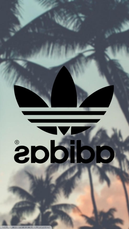 adidas wallpaper palm tree