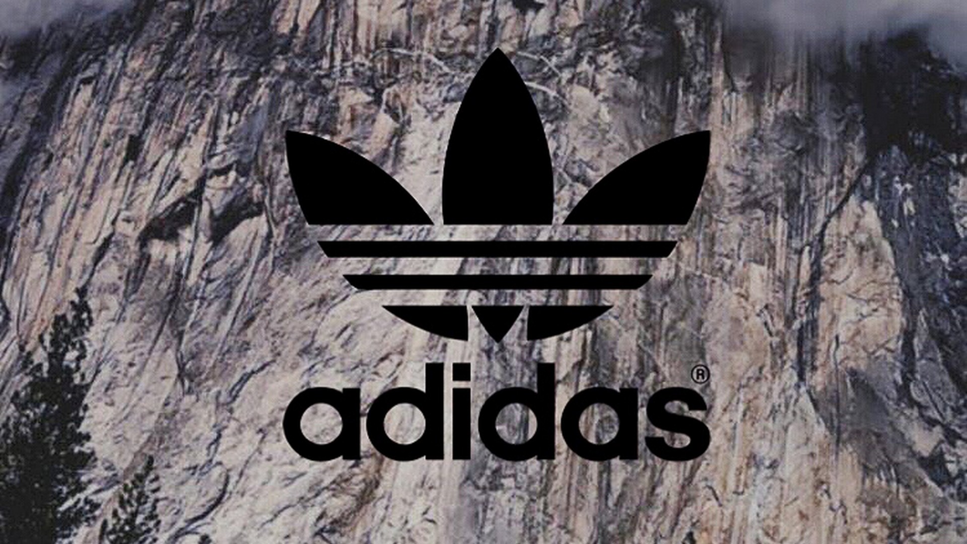 Best Adidas Logo Wallpaper With High-resolution Pixel - HD Wallpaper 
