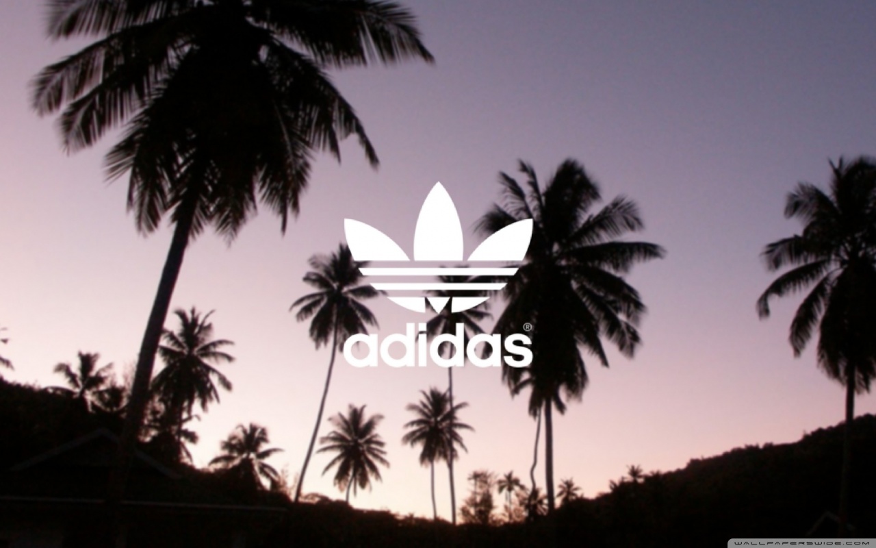 Dj Rondon Dancehall Reggae Vol - HD Wallpaper 