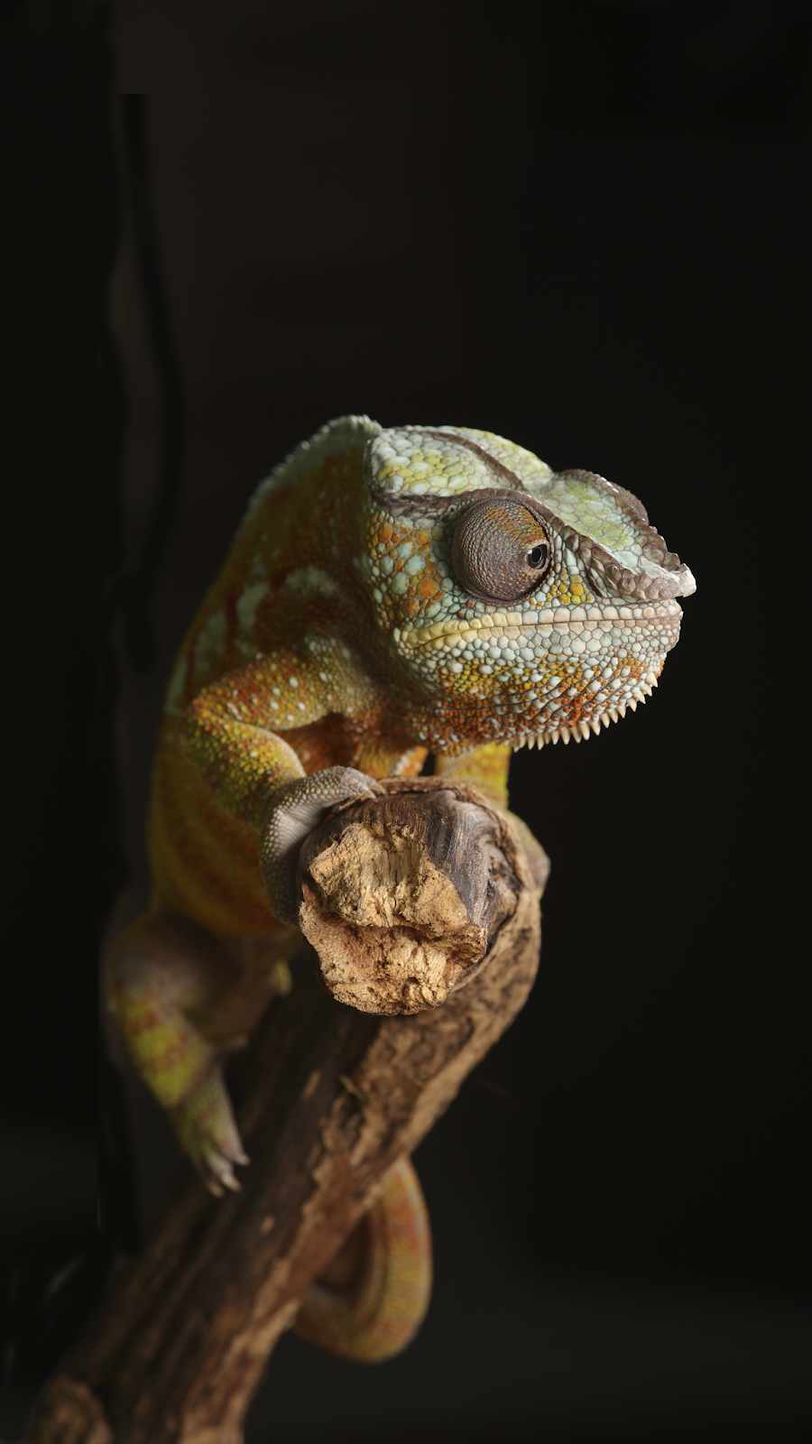 Wallpaper 4k - Cool Wallpapers Phone 4k - HD Wallpaper 