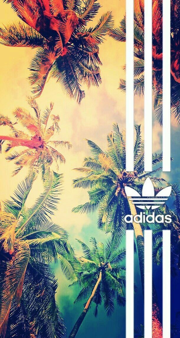 Fondos De Pantalla Chill - HD Wallpaper 