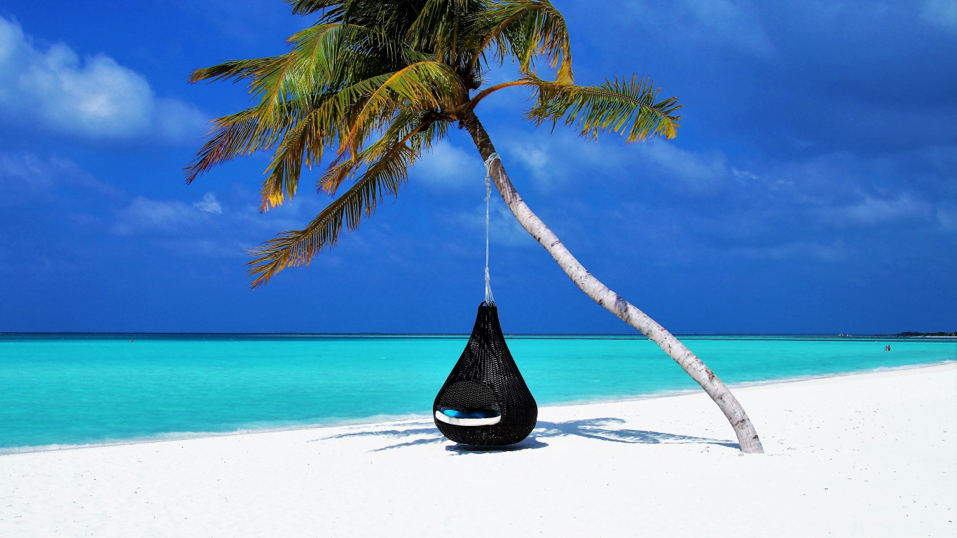 Maldives, Islands, Palm Tree, Travel, Wallpaper - HD Wallpaper 