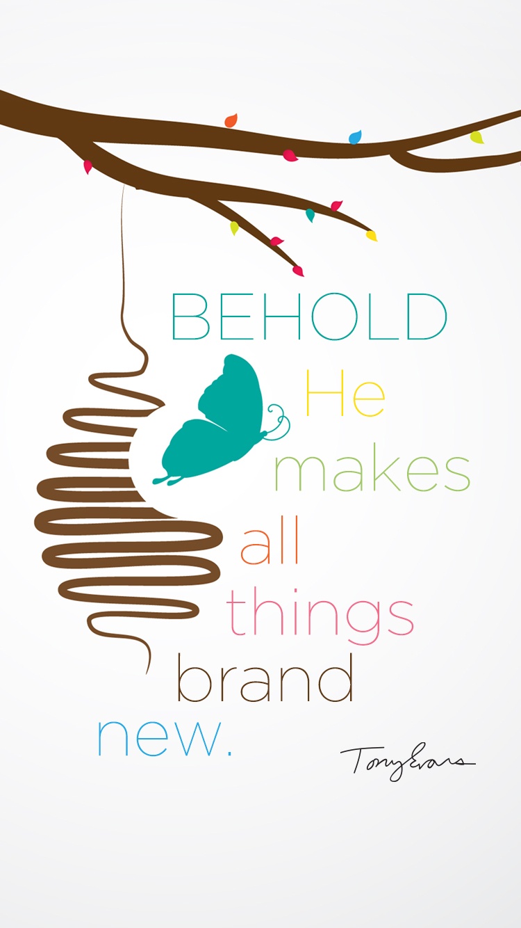 Vector - HD Wallpaper 