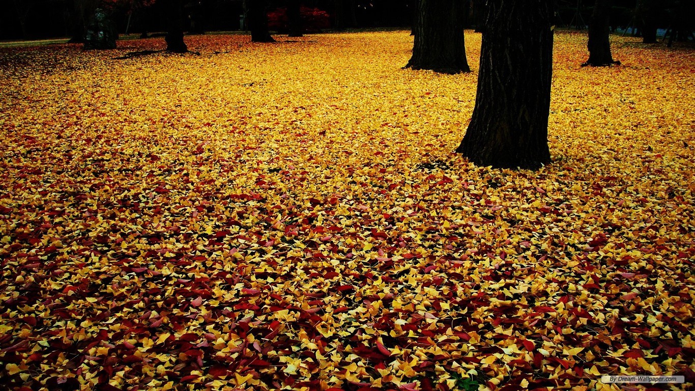 Free Travel Wallpaper - Wallpaper - HD Wallpaper 