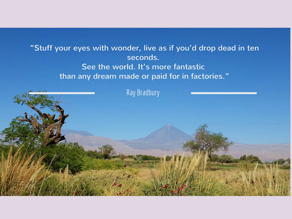 Travel Quotes - Tree - HD Wallpaper 