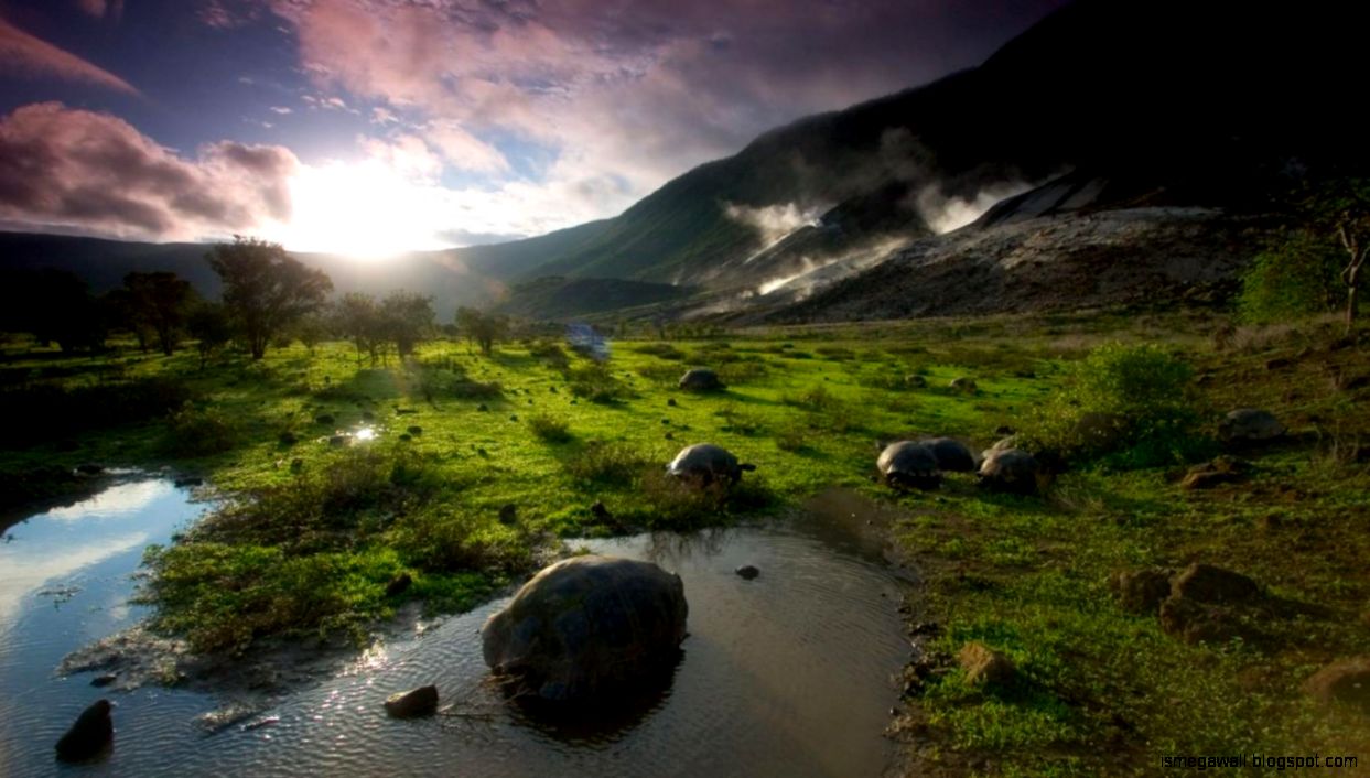 Wallpapers Galapagos Islands Top Travel Lists - Galápagos Islands - HD Wallpaper 