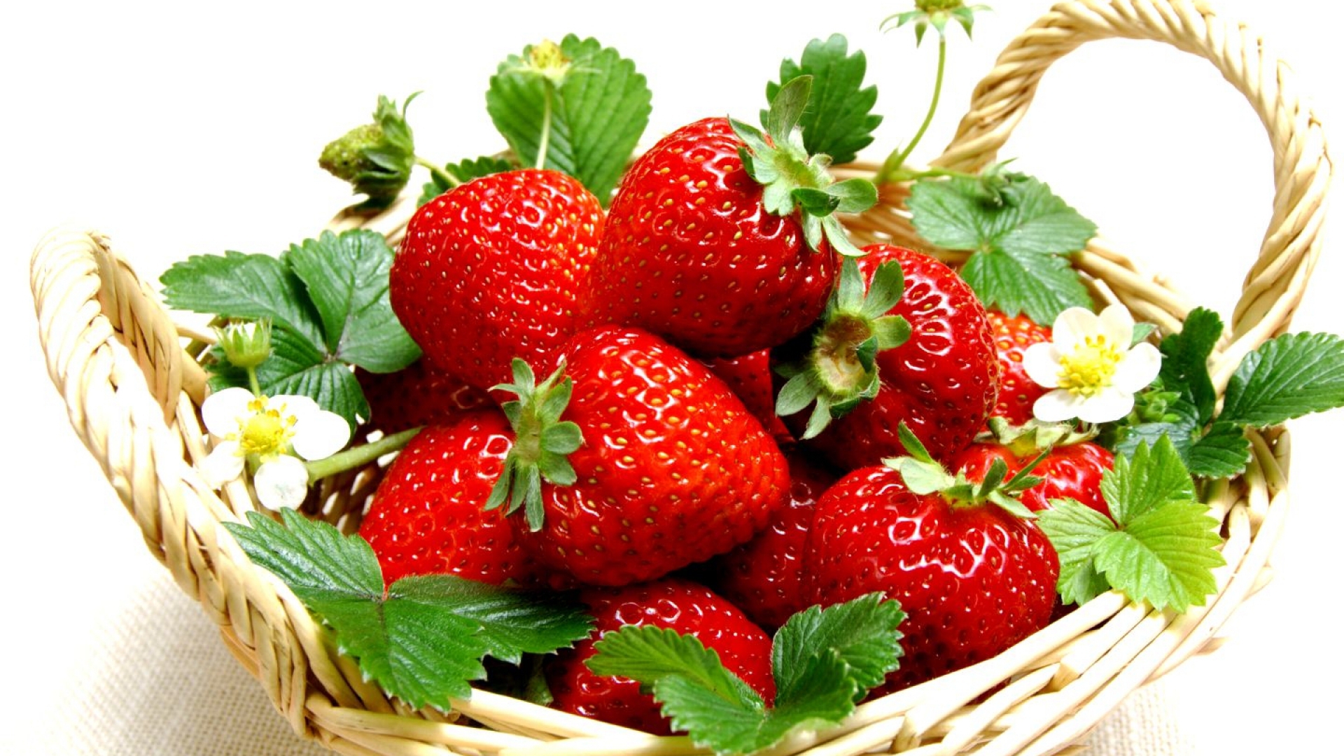 Strawberry Download Free Backgrounds Hd - Dau Tay Giong Newzealand - HD Wallpaper 