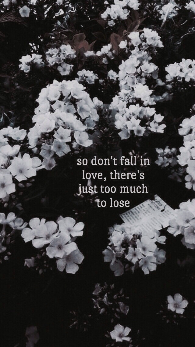 Quotes, Mayday Parade, And Flowers Image - So Don T Fall In Love There's Just Too Much To Lose - HD Wallpaper 