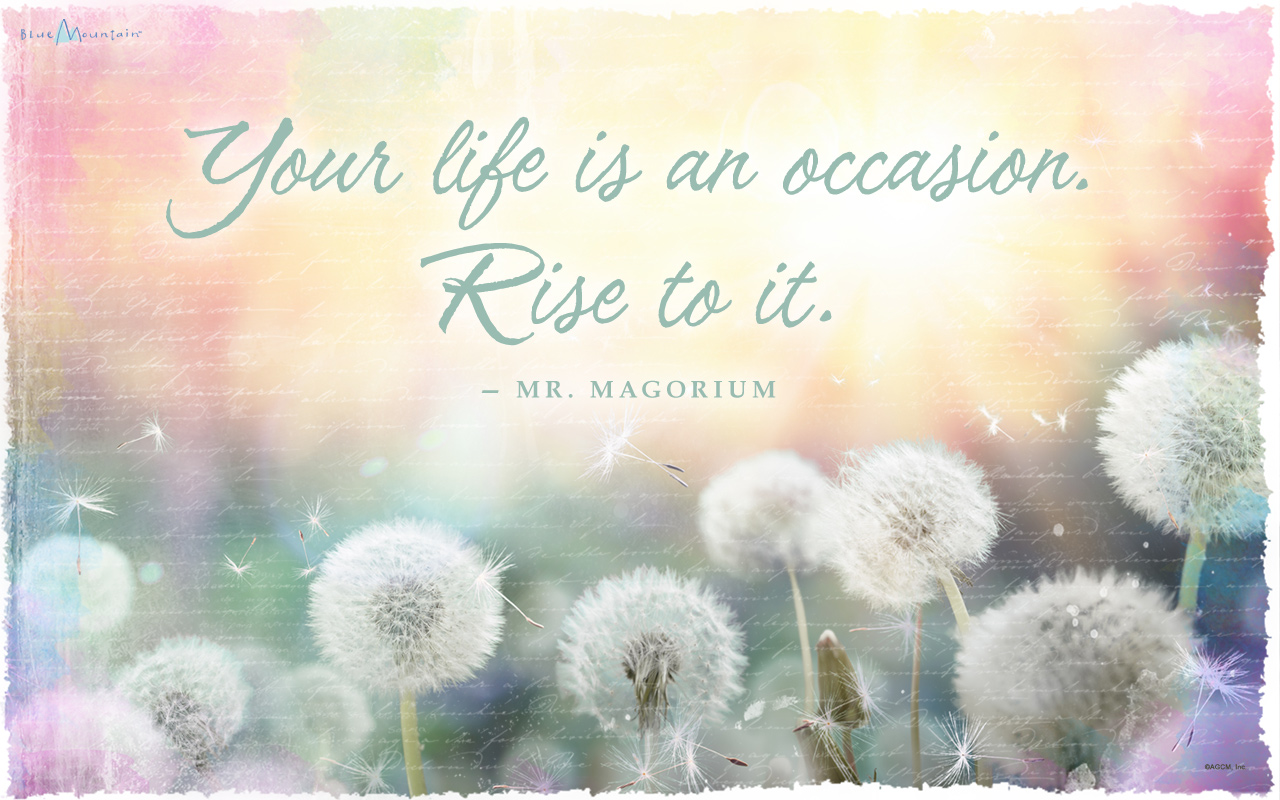 07012015 Desktop Bma - Dandelion Scenic Facebook Cover - HD Wallpaper 