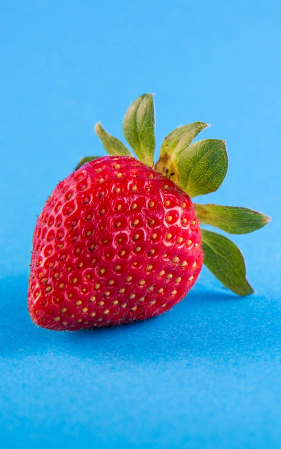 Strawberry Blue Background Hd Mobile Wallpaper - Happy World Food Day - HD Wallpaper 