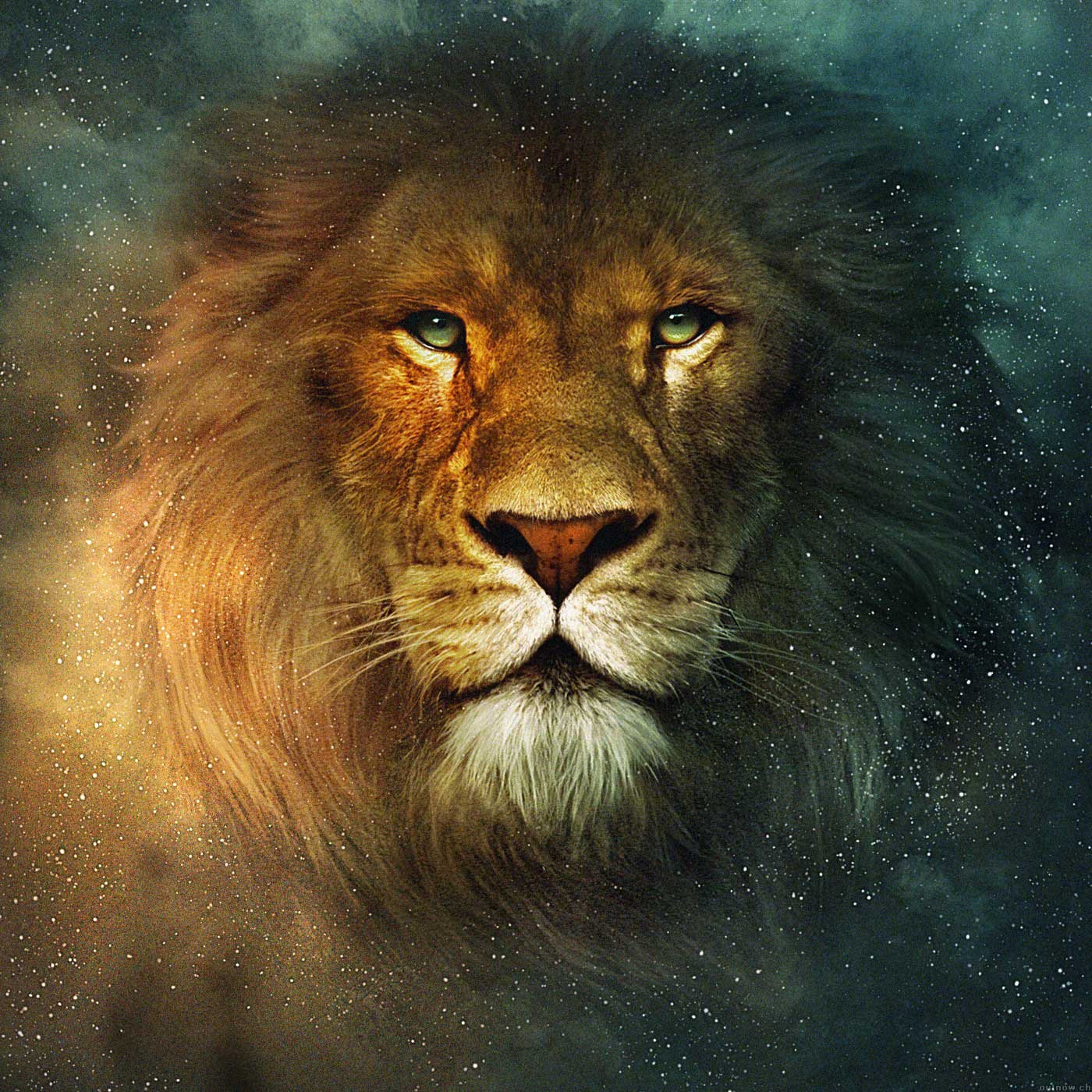 Lion Star - HD Wallpaper 