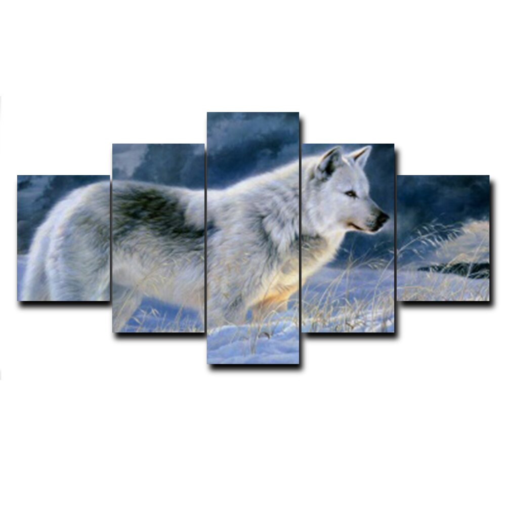 Wolf White Grey Animal - HD Wallpaper 