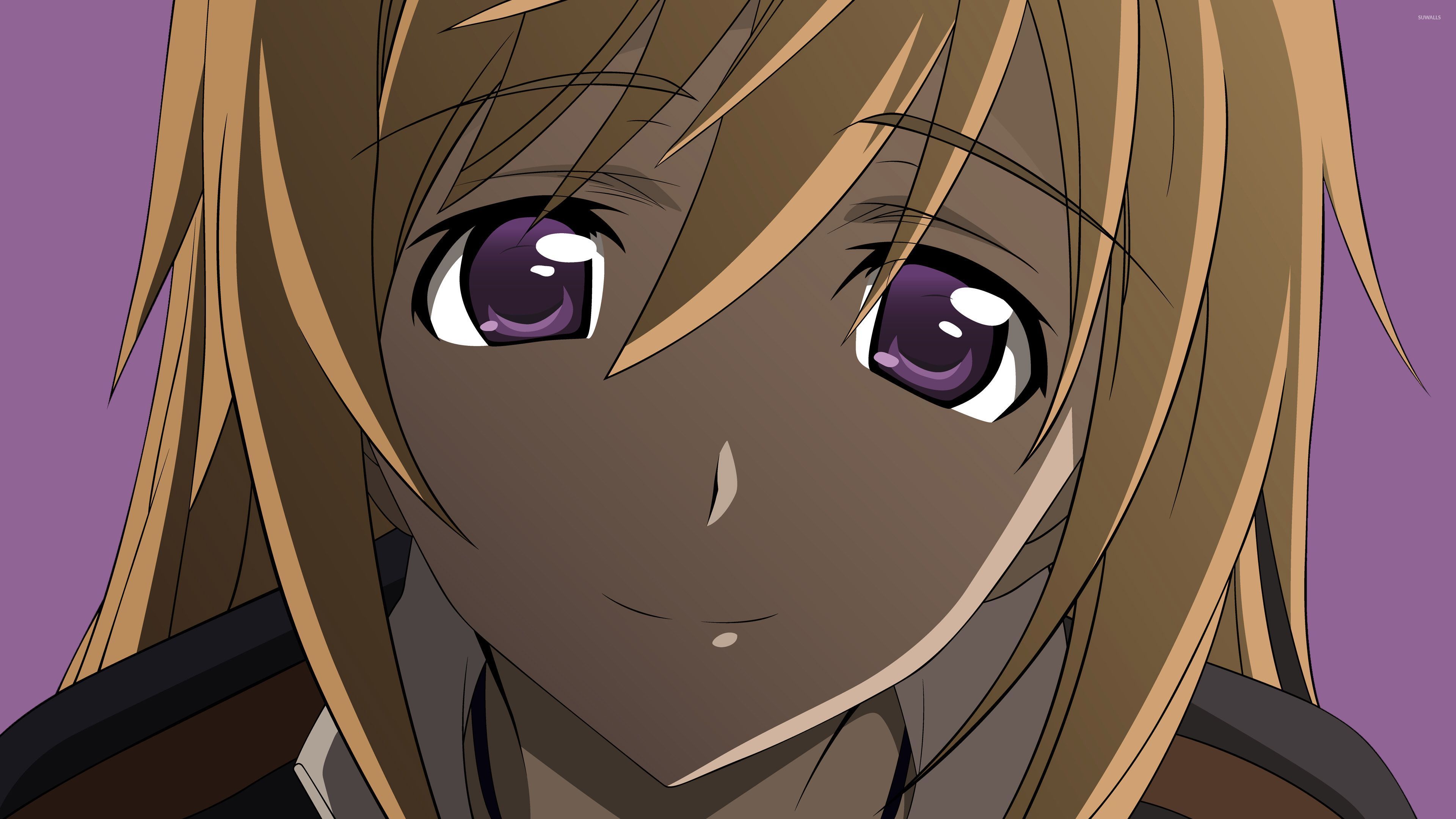 Infinite Stratos Charlotte Dunois Anime - HD Wallpaper 