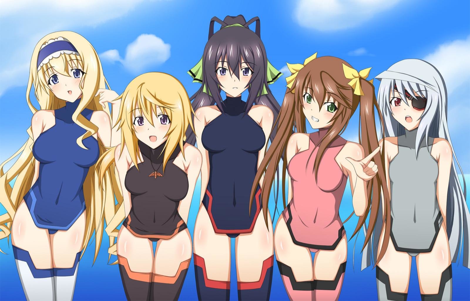 Best Infinite Stratos Wallpaper Id - Infinite Stratos Fan Art - HD Wallpaper 