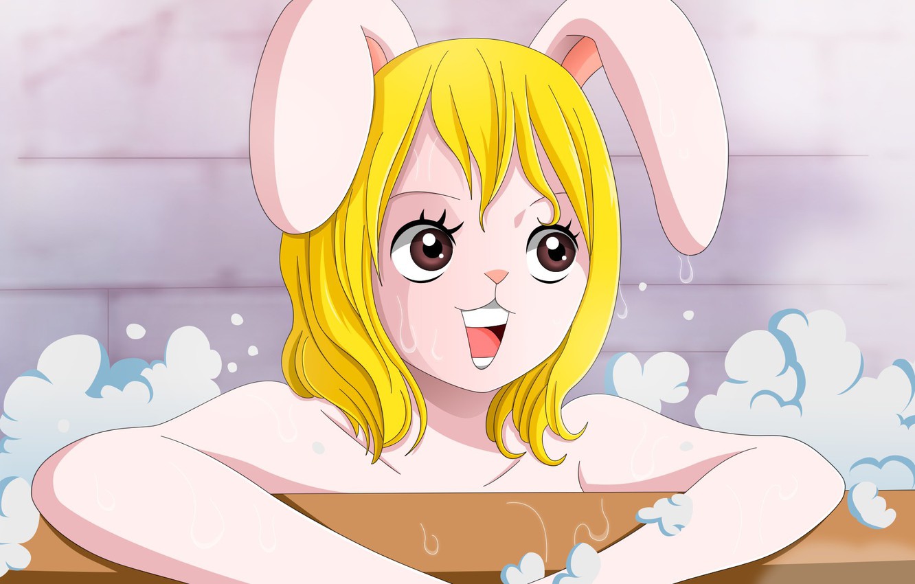 Photo Wallpaper Kawaii, Game, Fighter, One Piece, Anime, - Rabbit Girl One Piece - HD Wallpaper 