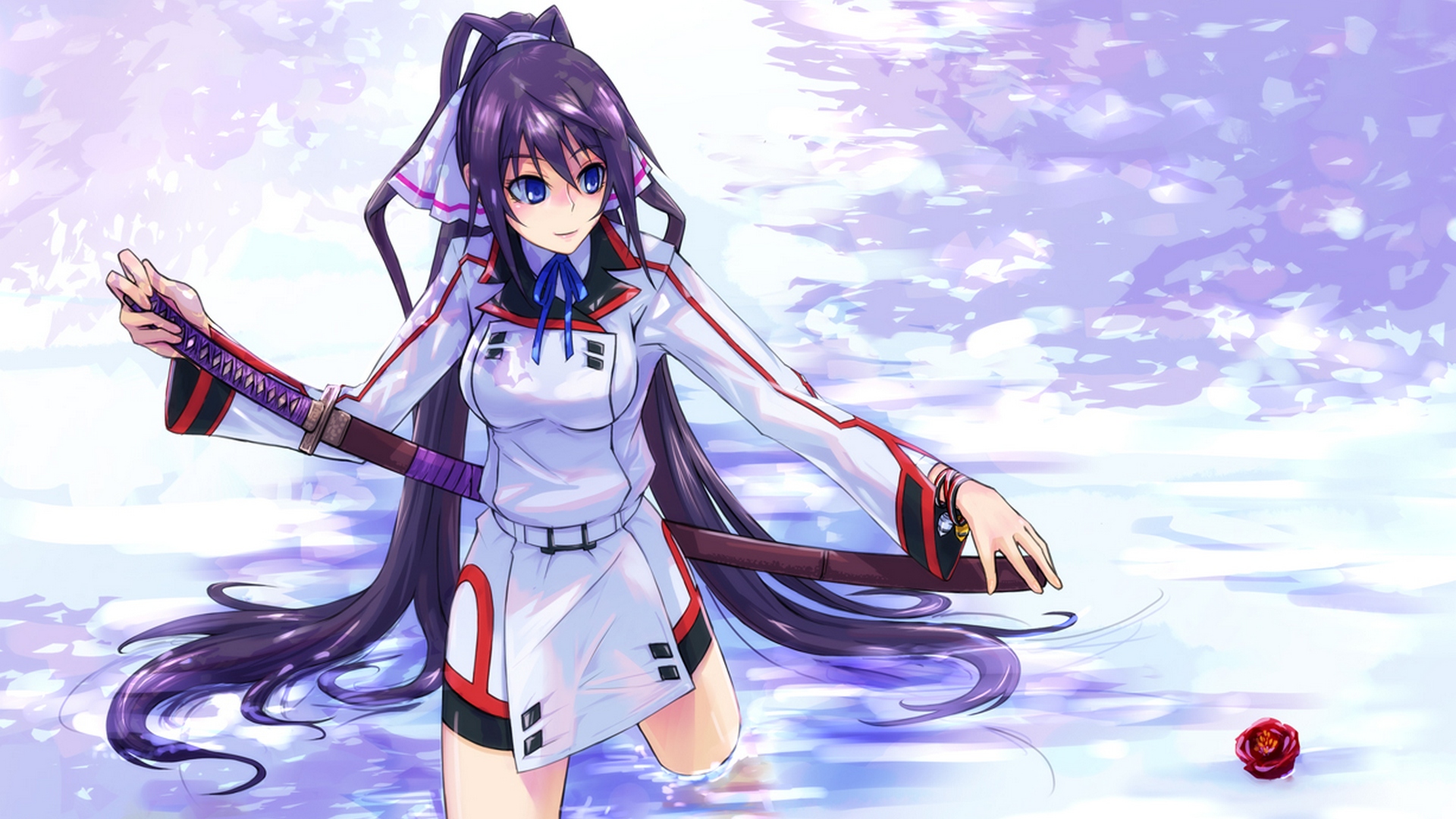 Cute Wallpaper Houki Shinonono - HD Wallpaper 