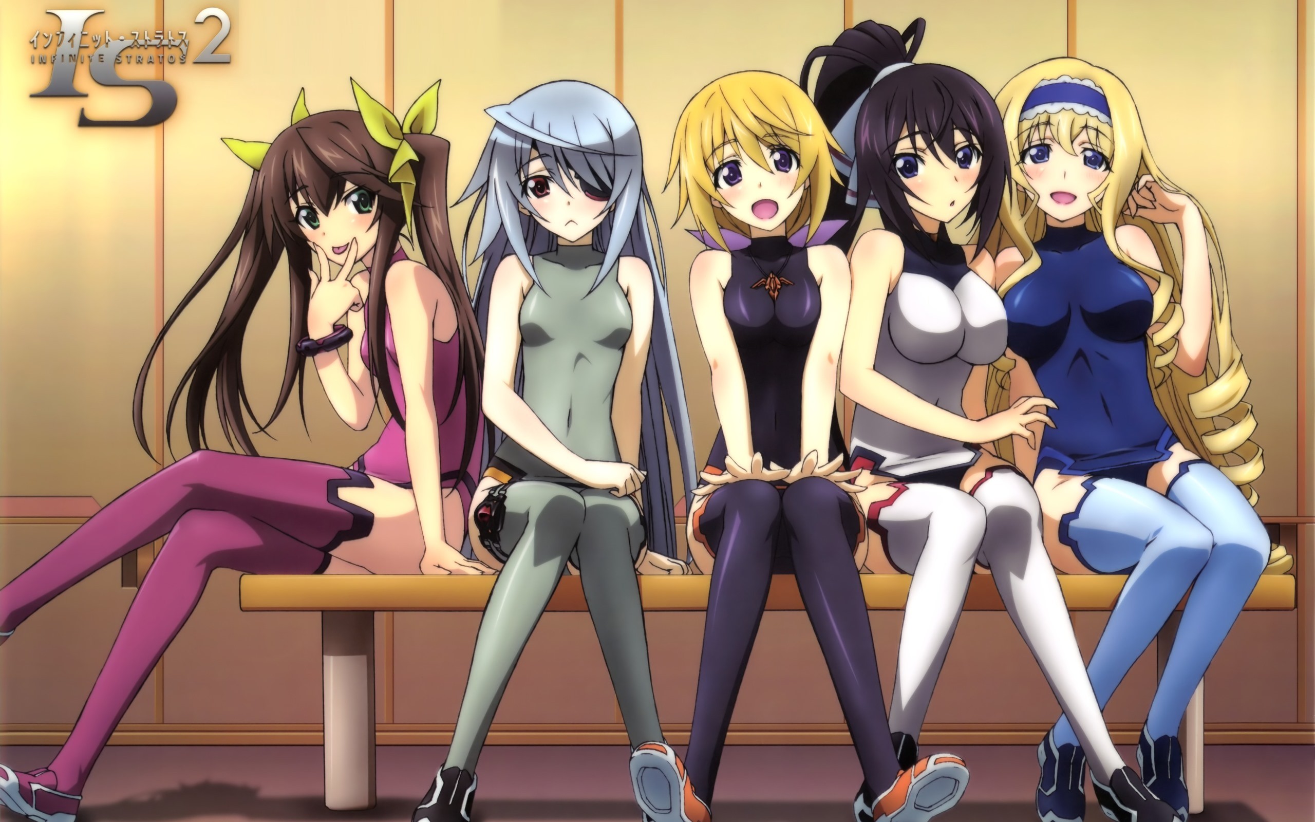 Anime Girls Infinite Stratos - HD Wallpaper 