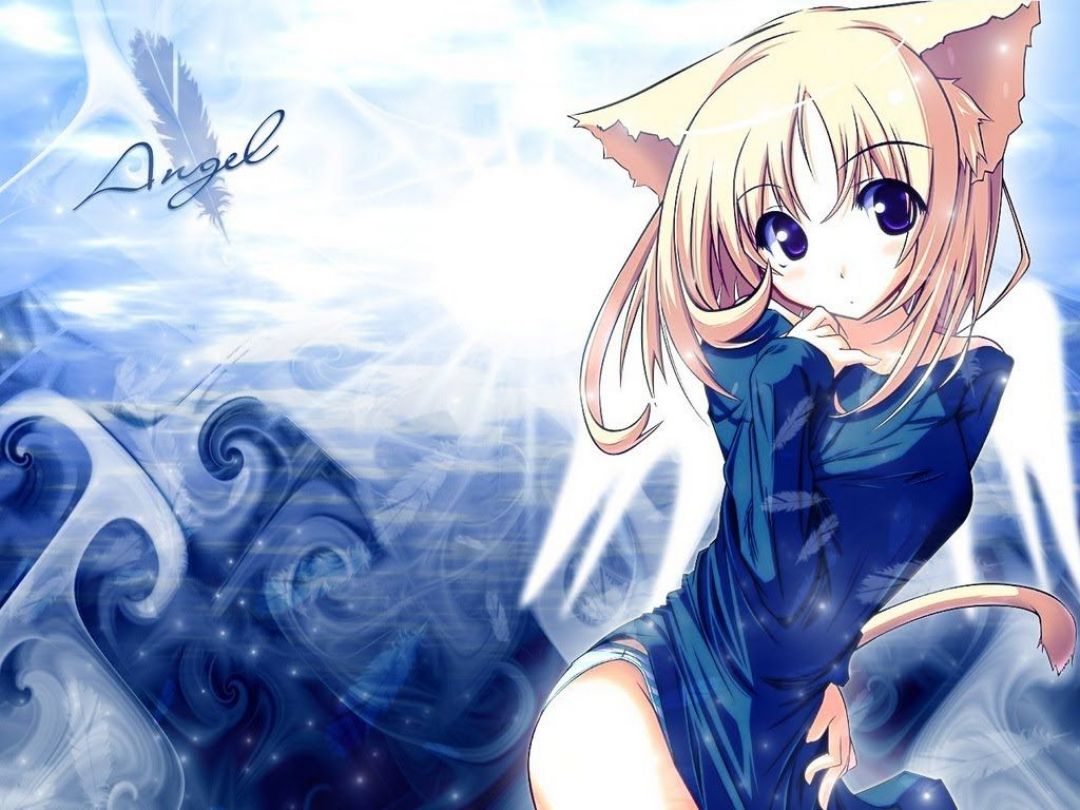 Cute Anime Cat - Anime Cat Girl Blonde Hair - HD Wallpaper 