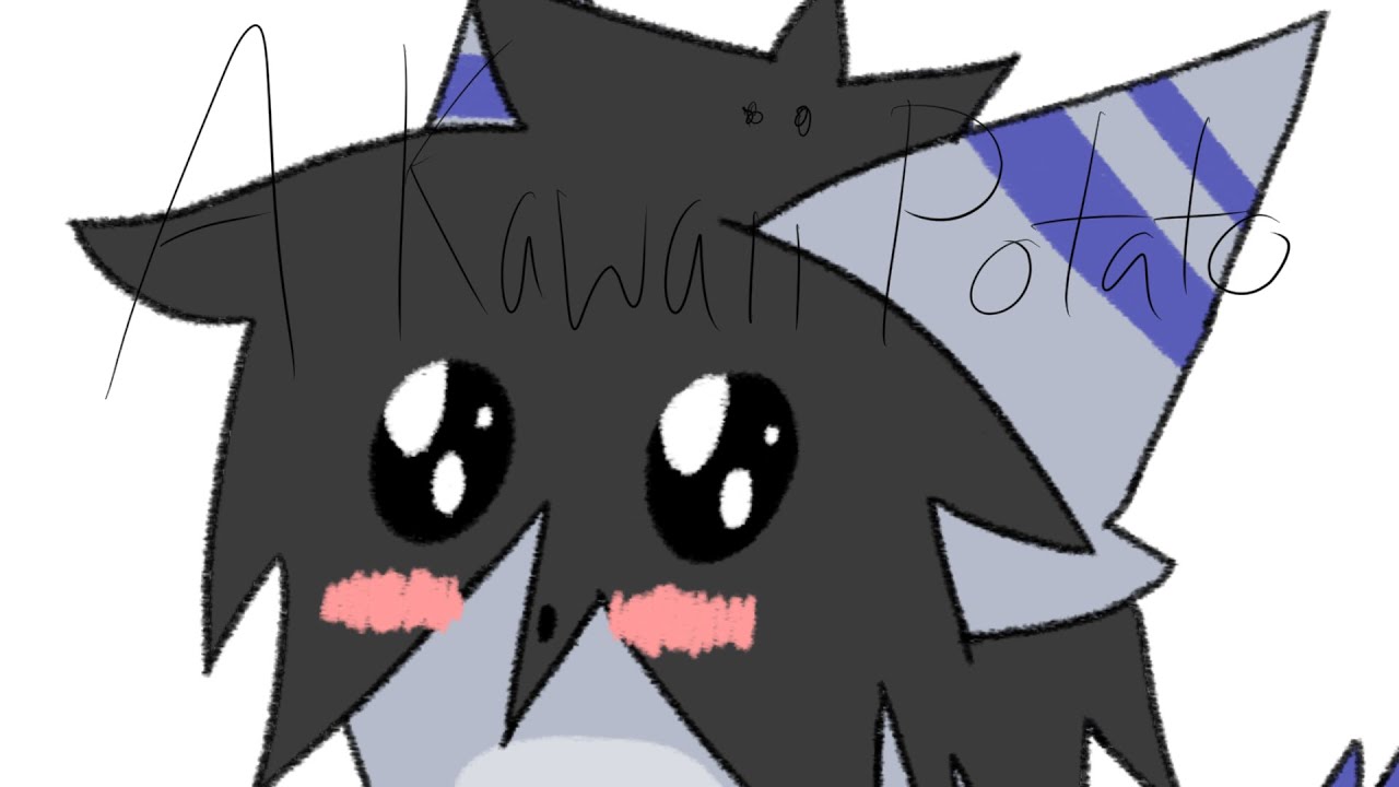 Cartoon - HD Wallpaper 