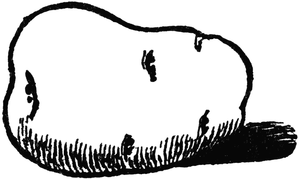 Potato Clip Art Black And White - Potato Clipart Black White - HD Wallpaper 