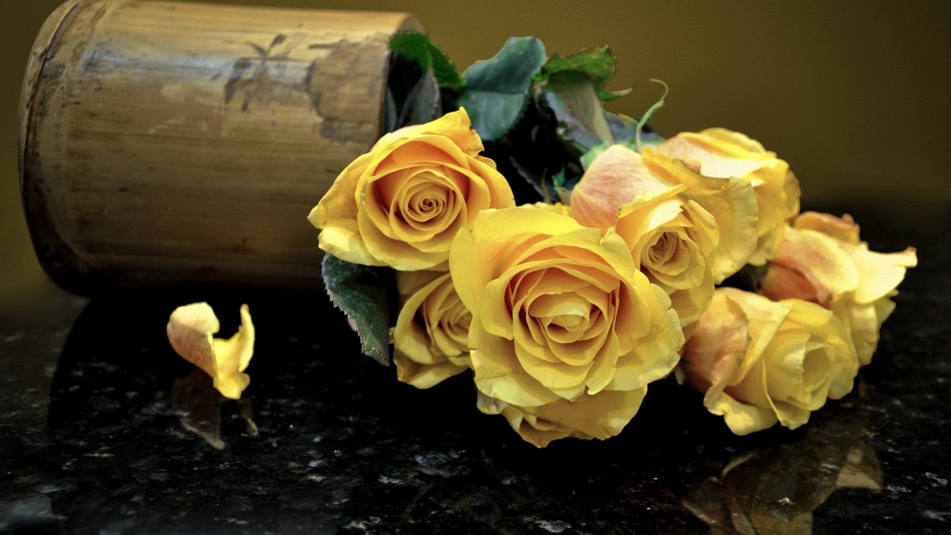 Hd Images Of Yellow Roses - HD Wallpaper 