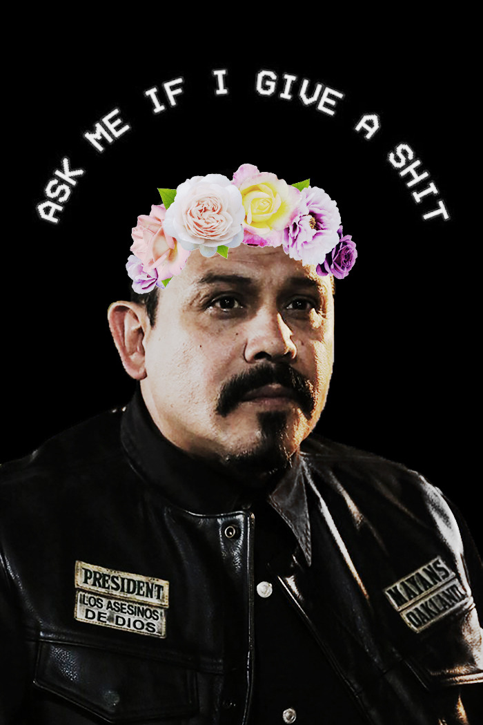 Ask Me If I Give A Shit  

phone Backgrounds
set 1 - Ask Me If I Give A Shit - HD Wallpaper 