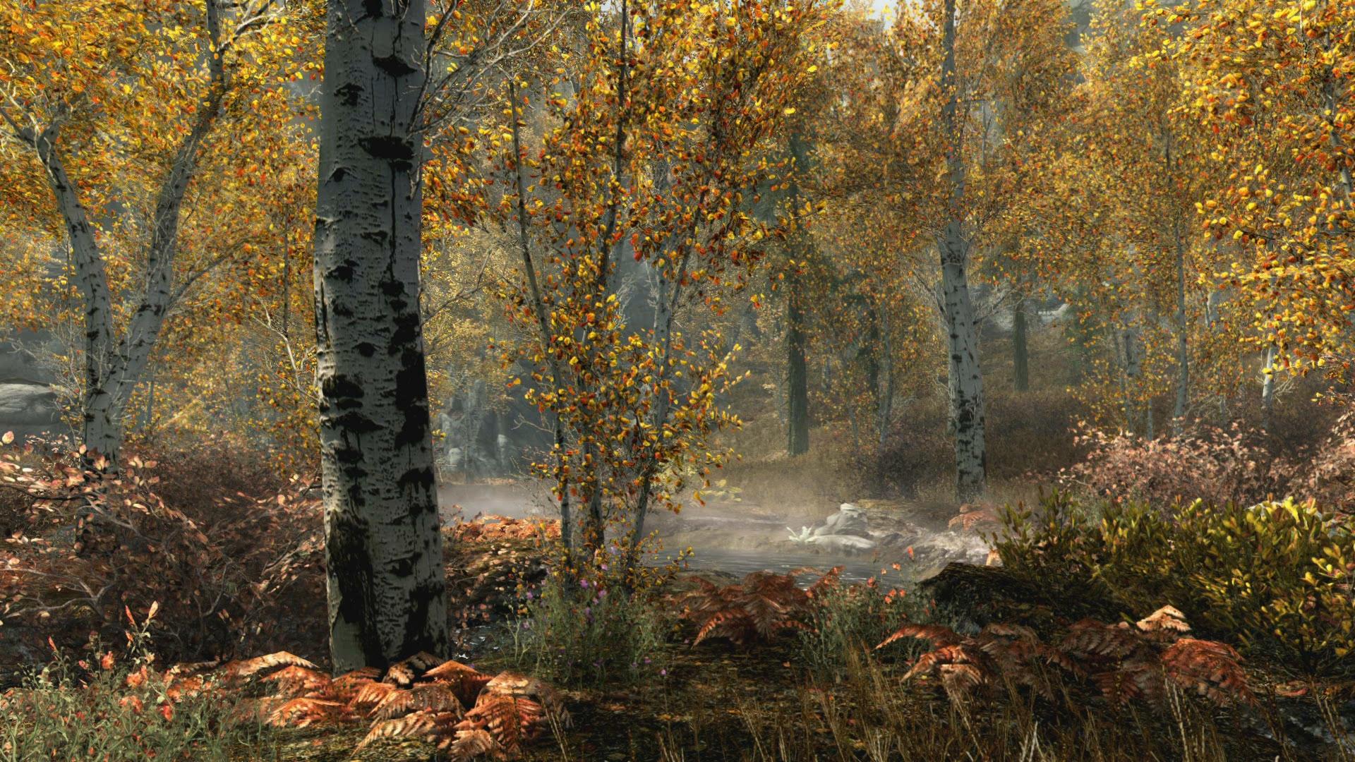 Skyrim Xbox One X - HD Wallpaper 
