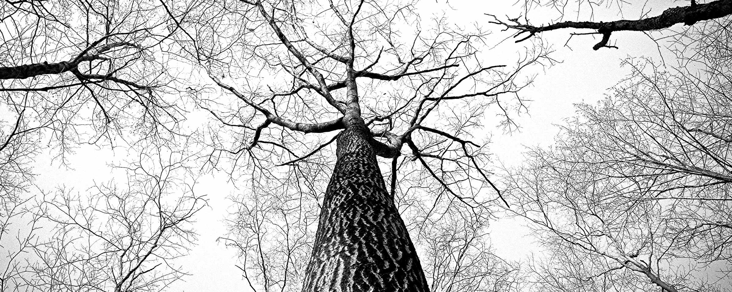 Black And White Photography Ideas - HD Wallpaper 