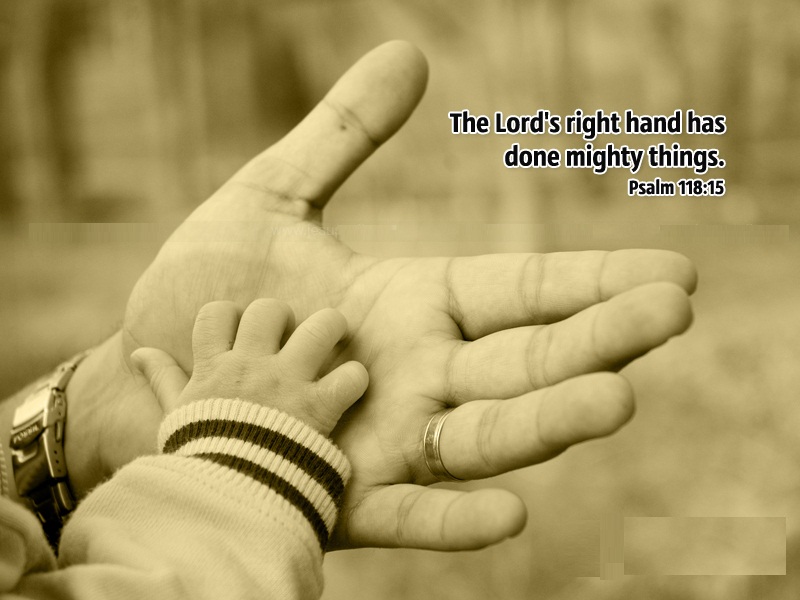 Promise Day - Happy Promise Day Family - HD Wallpaper 