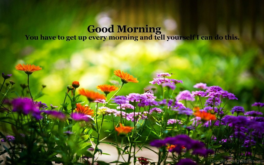 You Have To Get Up Every Morning And Tell Yourself - Bible Verse Wallpaper In Tamil - HD Wallpaper 