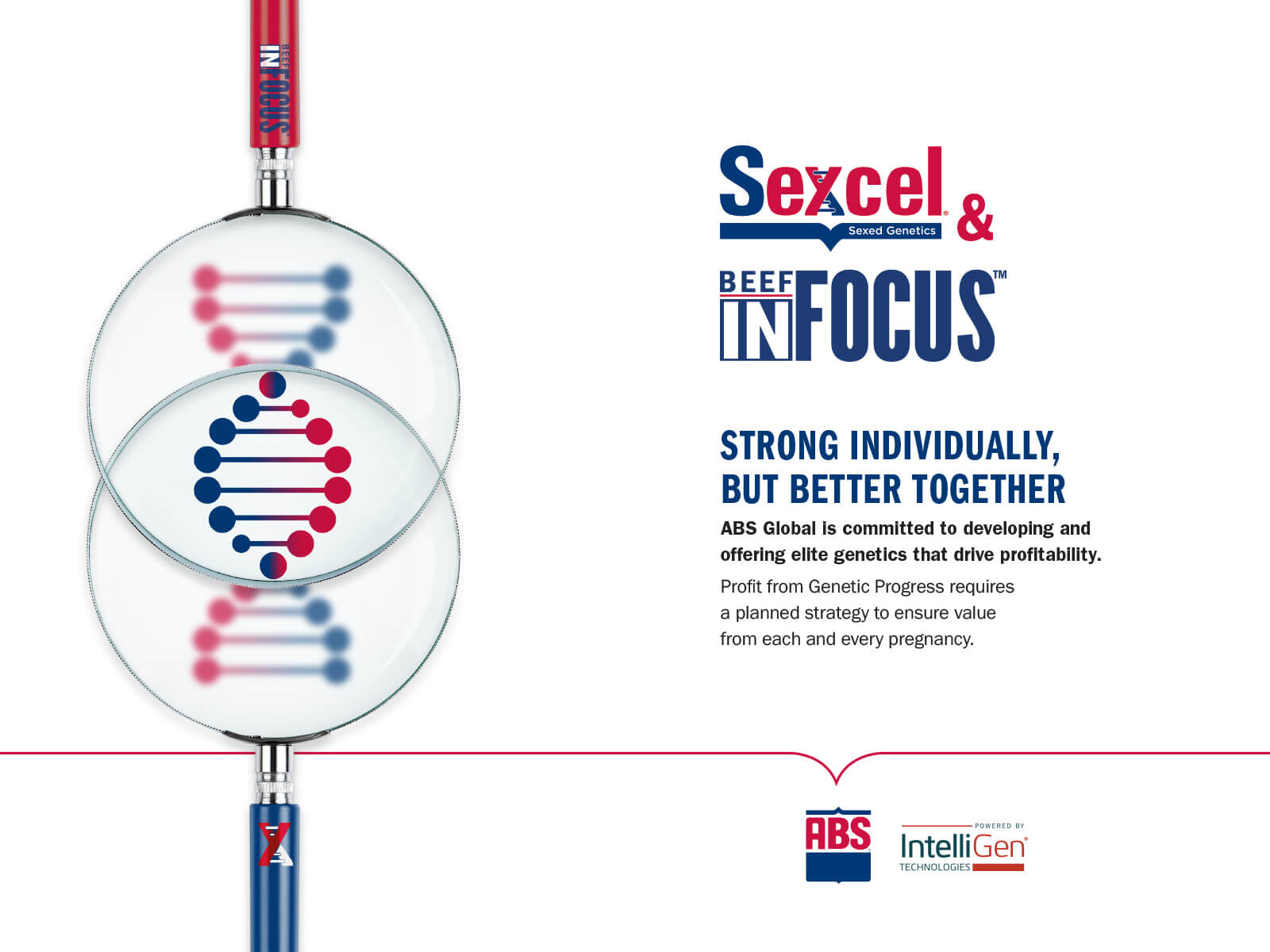 Bif Sexcel 1600x1200px En Us Mobile - Abs Global - HD Wallpaper 