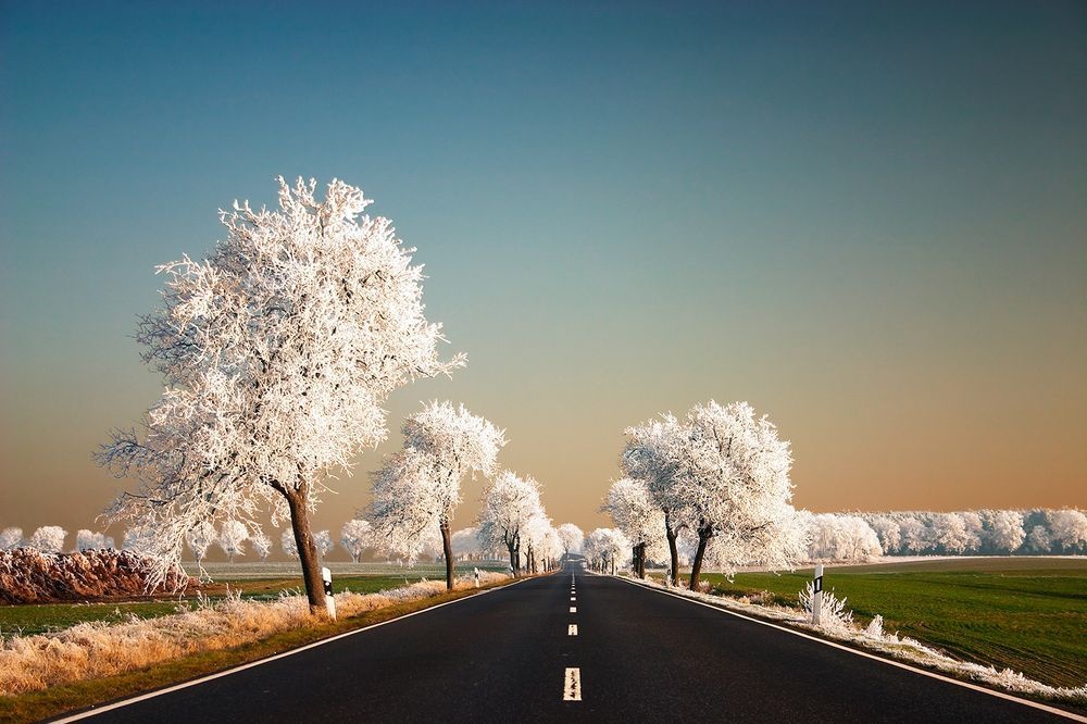 Nature - HD Wallpaper 