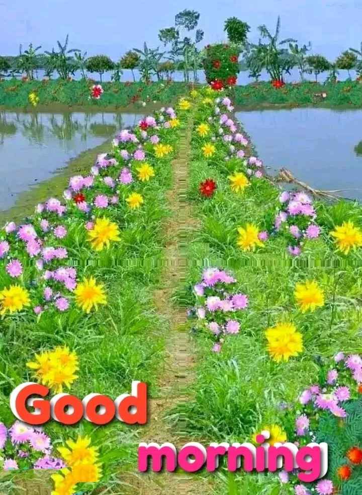 Good Afternoon Shubh Dopahar - HD Wallpaper 