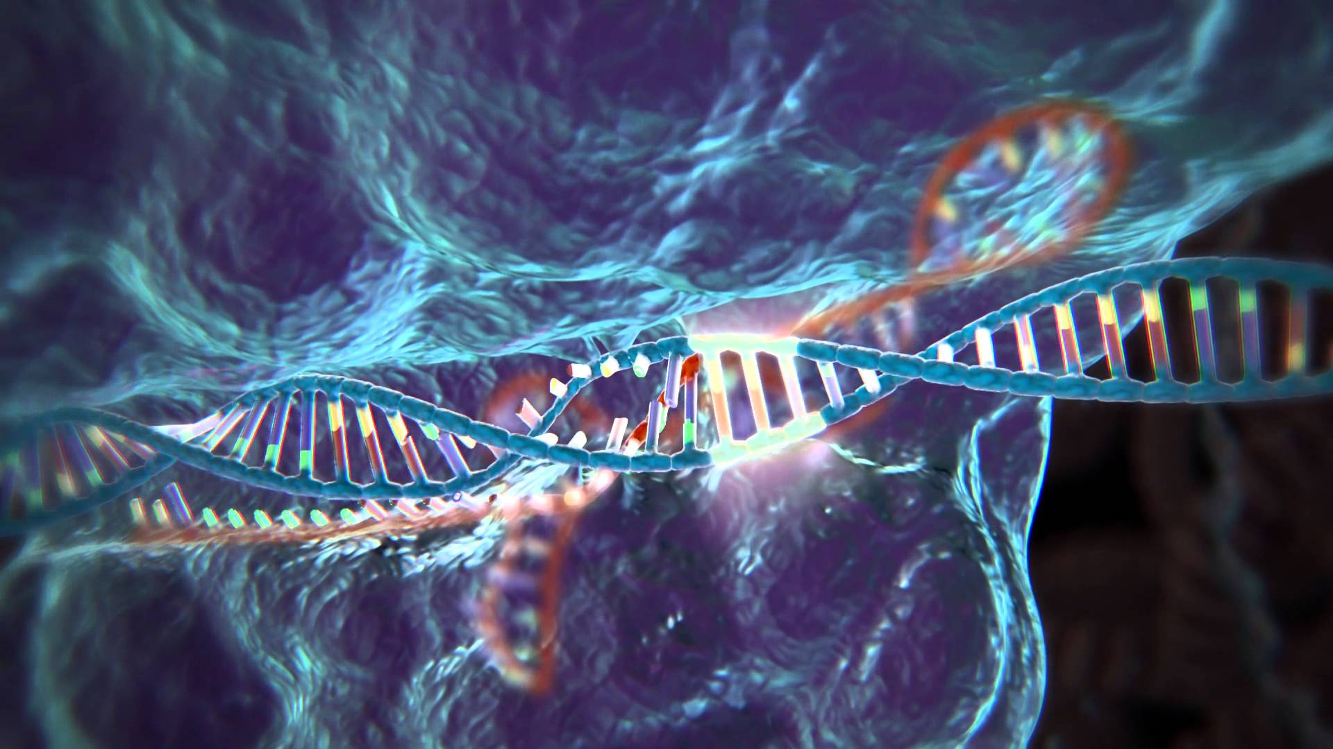 Crispr Cas9 - HD Wallpaper 