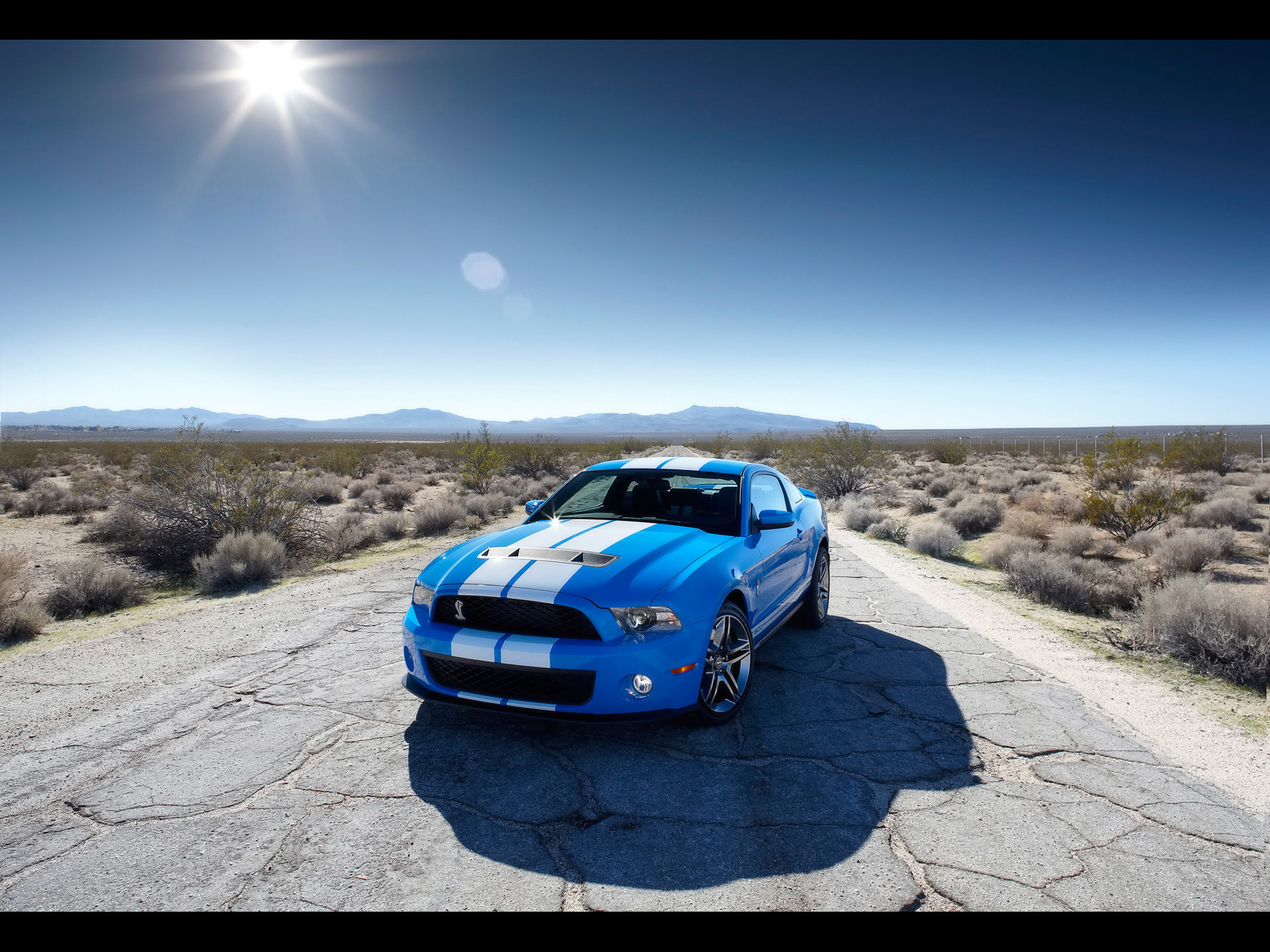2010 Ford Mustang Shelby Gt500 Hd - HD Wallpaper 