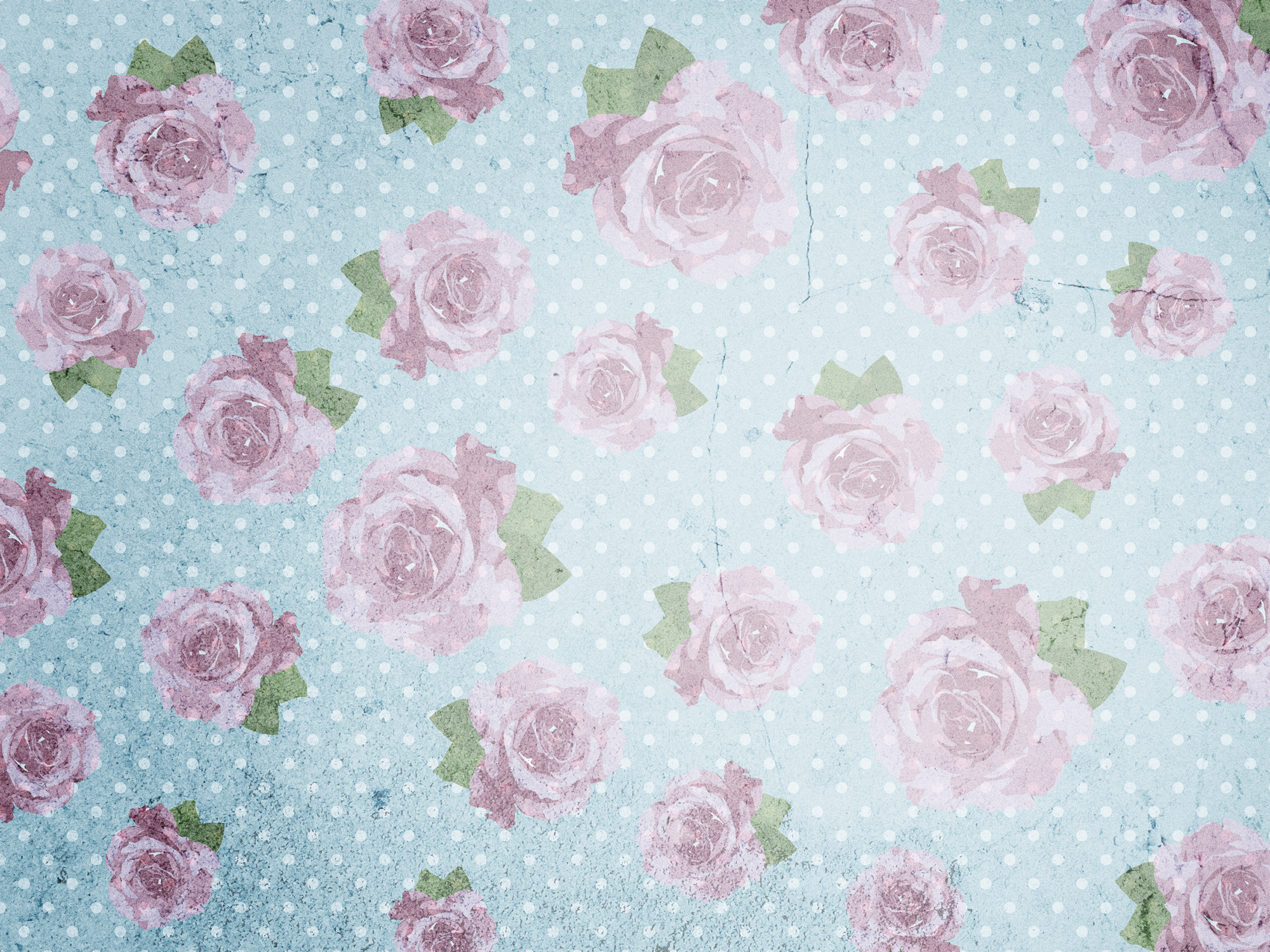 Wallpaper - HD Wallpaper 