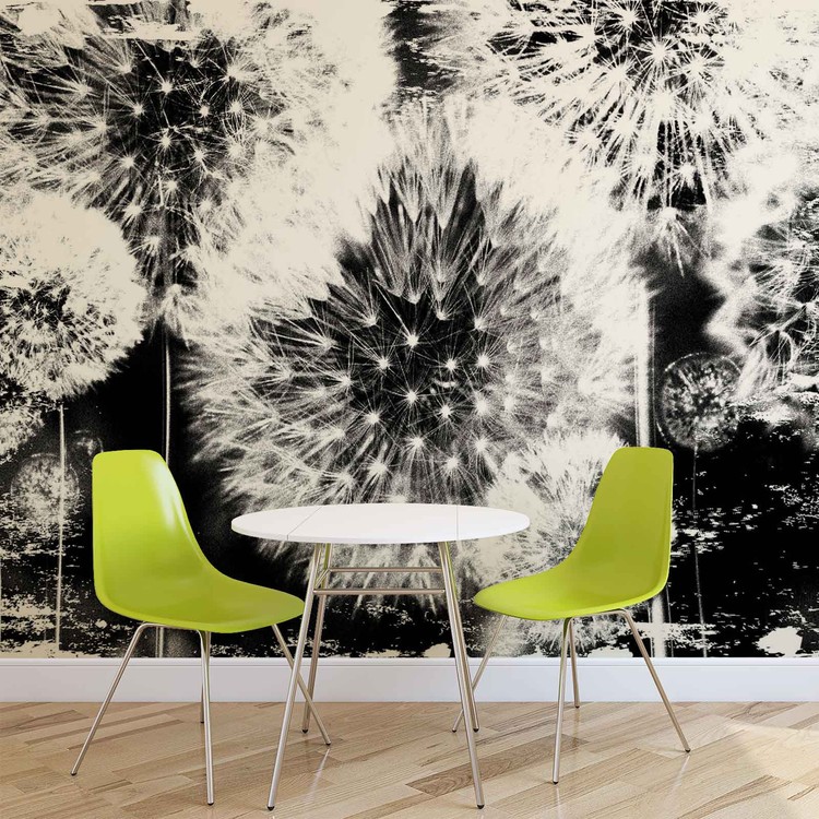 Löwenzahn Schwarz Weiß Fototapete - Fotobehang Paardenbloem Zwart Wit - HD Wallpaper 