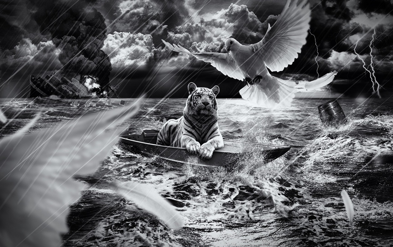 Tiger In Boat Wallpapers - Tiger And Bird In Boat - HD Wallpaper 