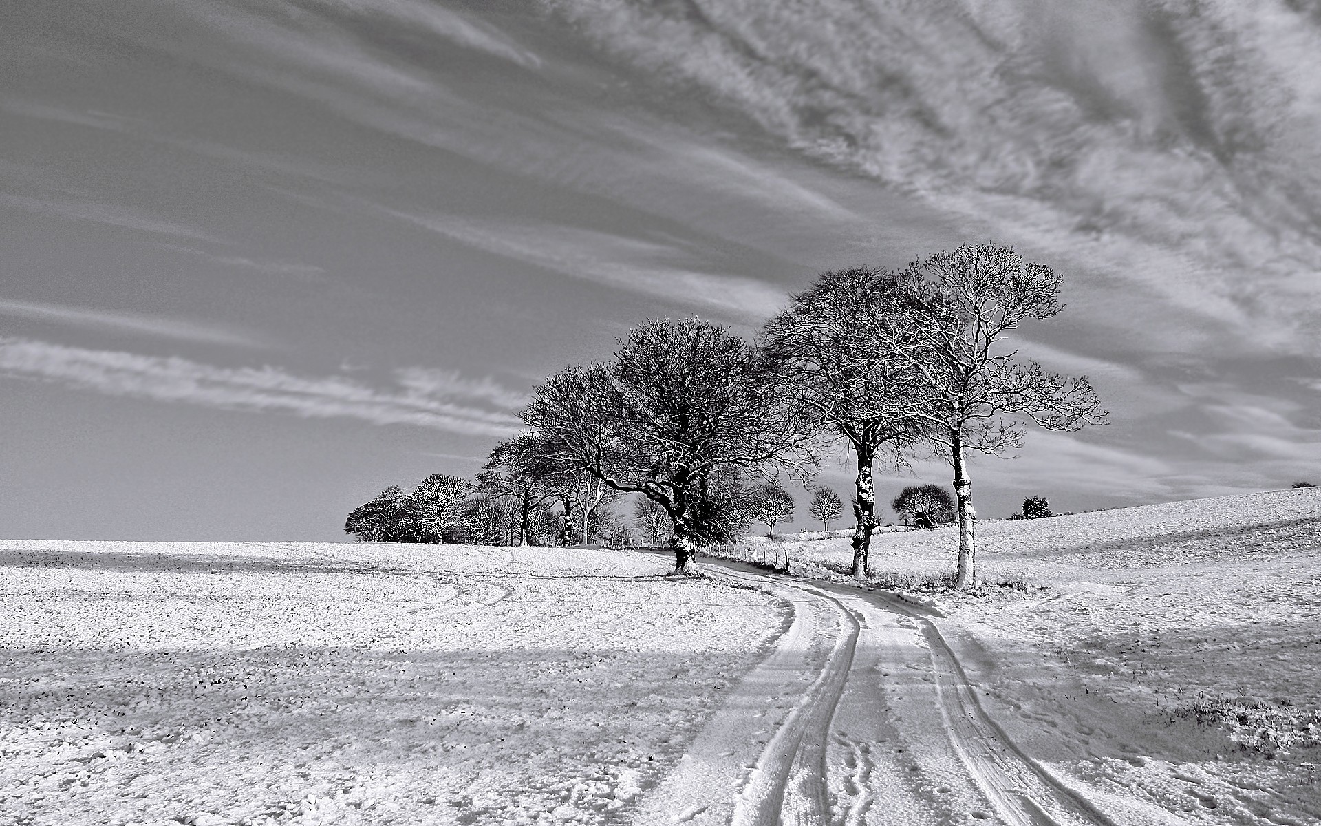 Fabulous Bild Black And White Winter Wallpapers And - Winter Black And White - HD Wallpaper 