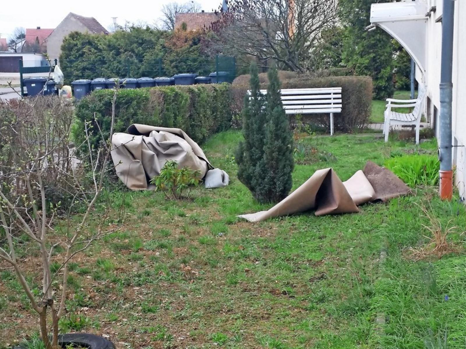 Grass - HD Wallpaper 