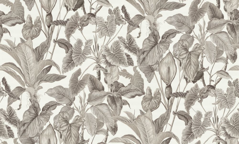 Erismann Paradiso - HD Wallpaper 