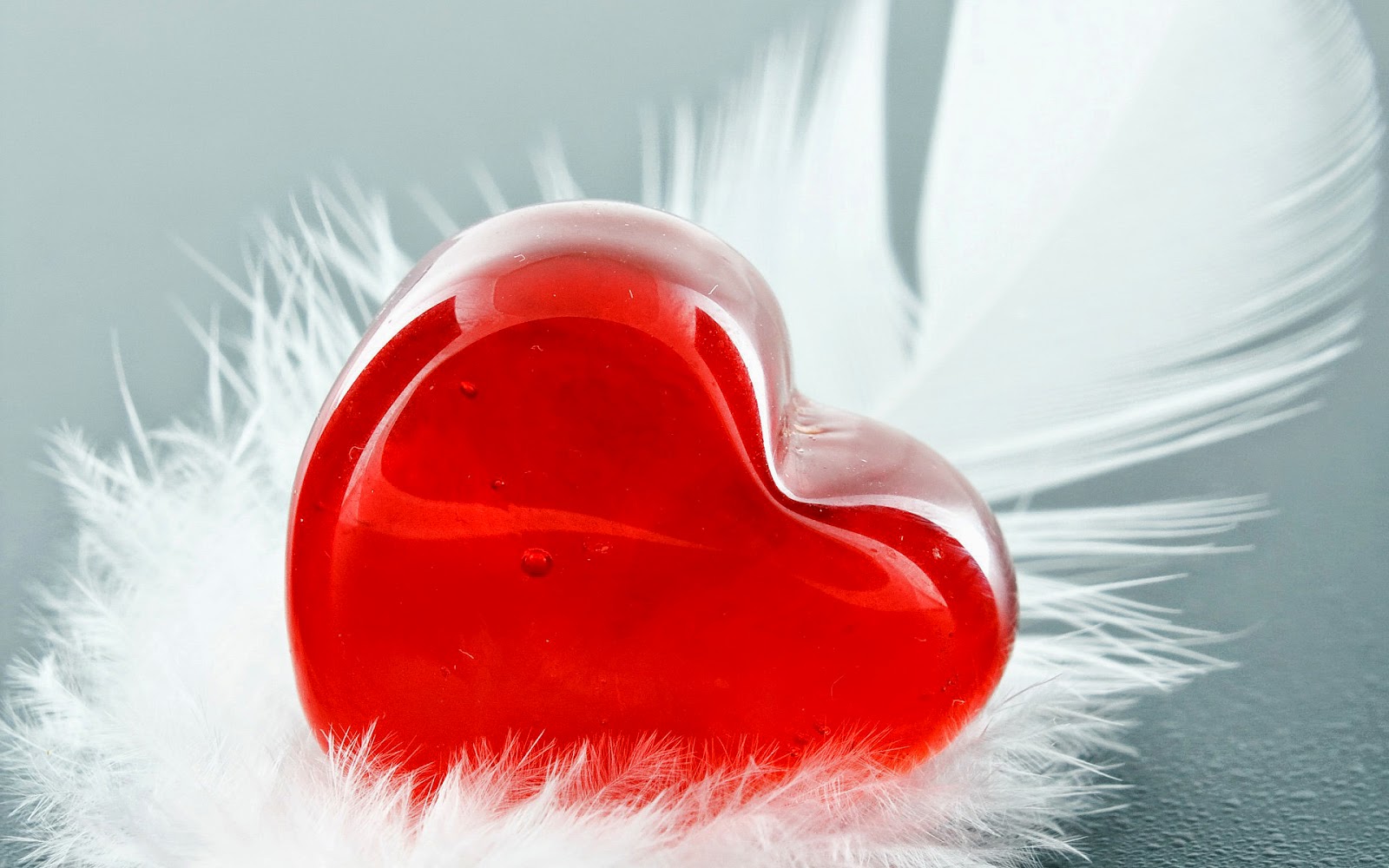 Valentine Wallpaper Mit Liebe Herz Heart Wallpaper Love Beautiful 1600x1000 Wallpaper Teahub Io