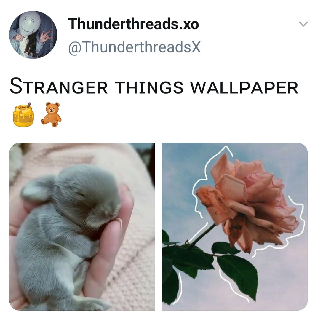 Dark Aesthetic The Truth Untold - HD Wallpaper 