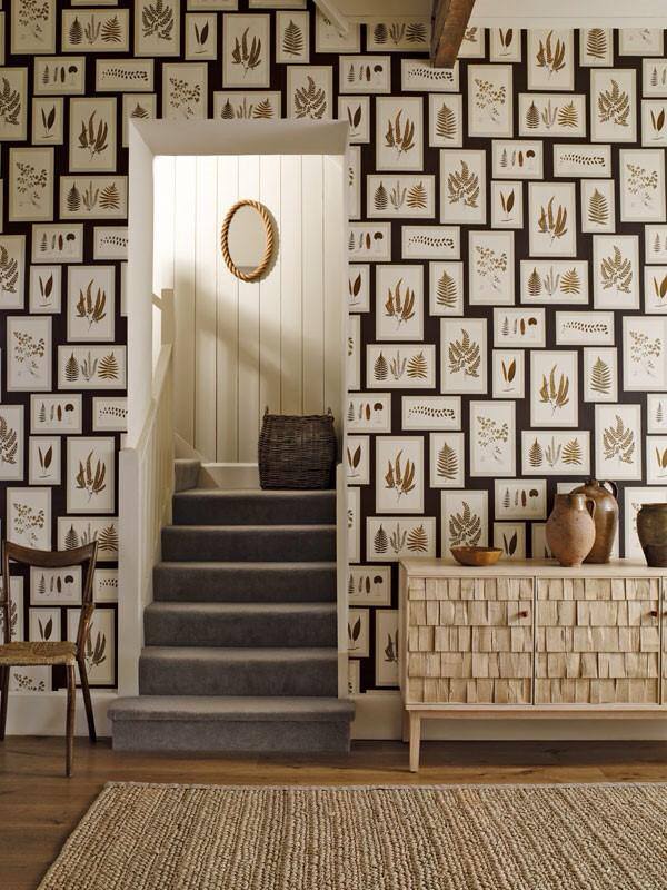 Fern Framed - HD Wallpaper 