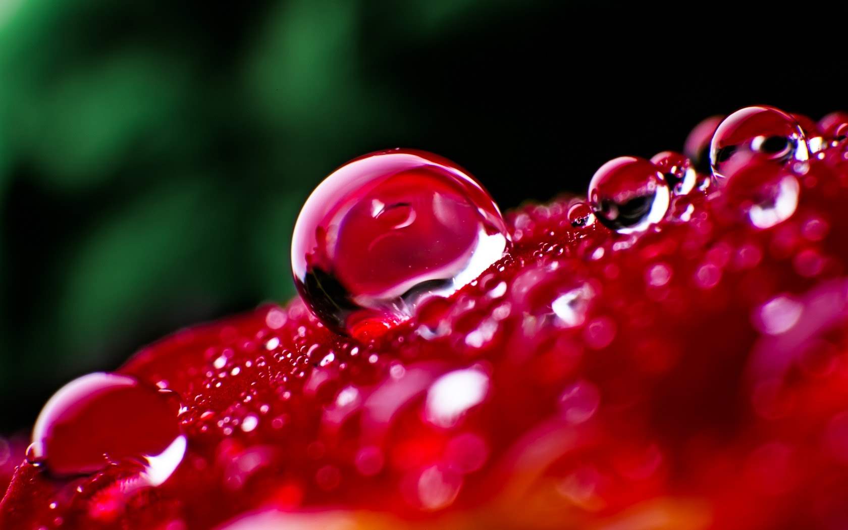 Dew Drops Hd Wallpapers - Nature Water Drops - HD Wallpaper 