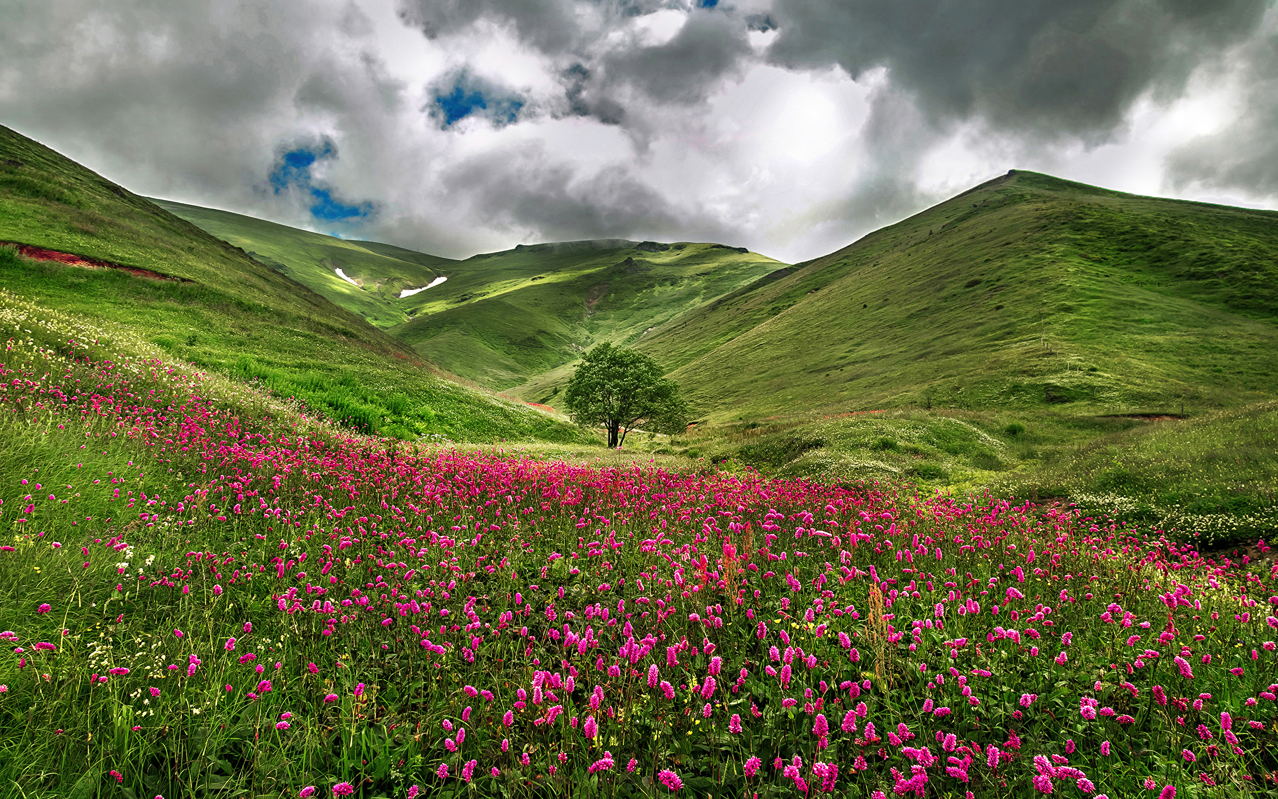 Landscape Painting - HD Wallpaper 